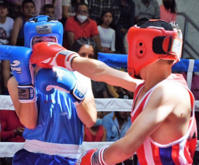 box hidalgo