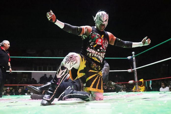 lucha libre hidalgo