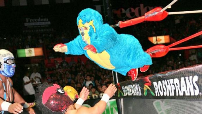 kemonito lucha libre