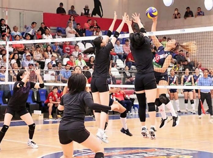voleibol hidalgo