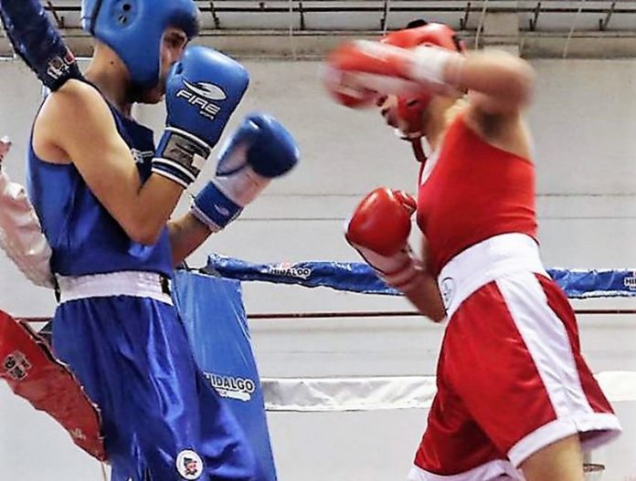 box hidalgo