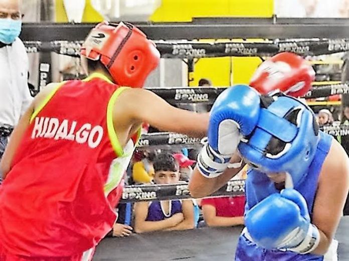box hidalgo