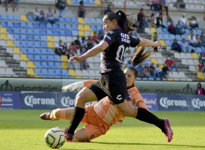 tuzas vs xolas