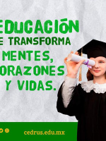 Instituto Cedrus