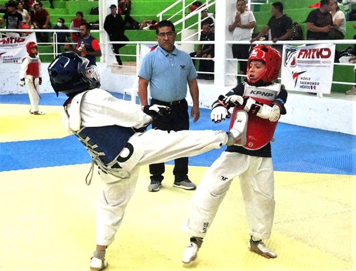tae kwon do hidalgo