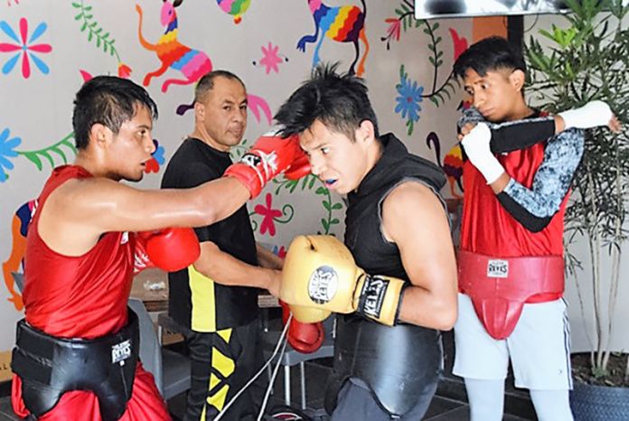 pipito cuevas box lucha