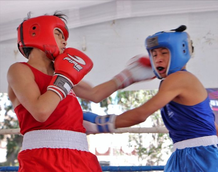 boxeo parque hidalgo (2)