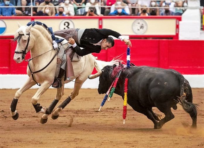 corrida vicente segura