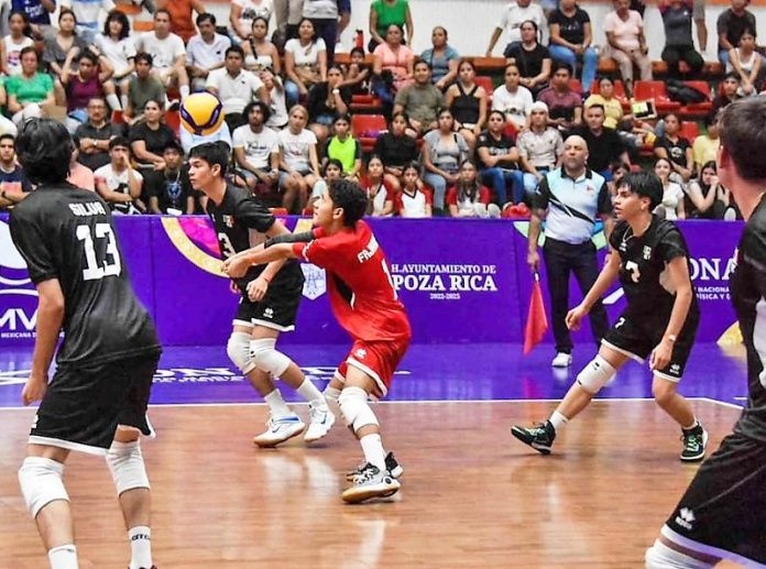 voleibol sala